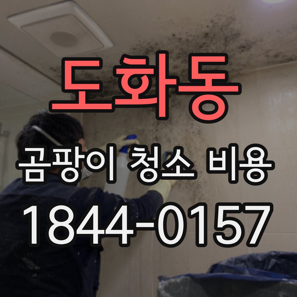 도화동 곰팡이 청소 비용