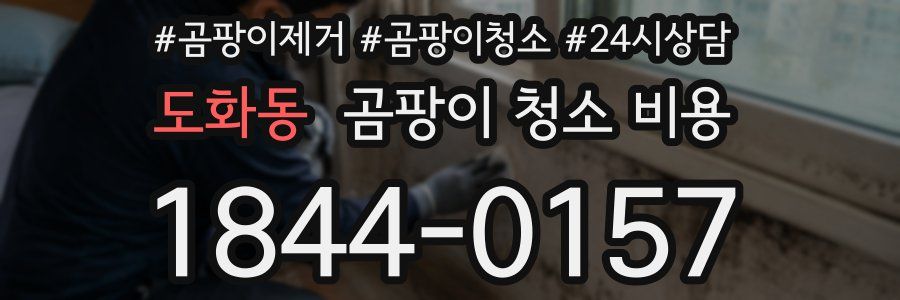 도화동 곰팡이 청소 비용