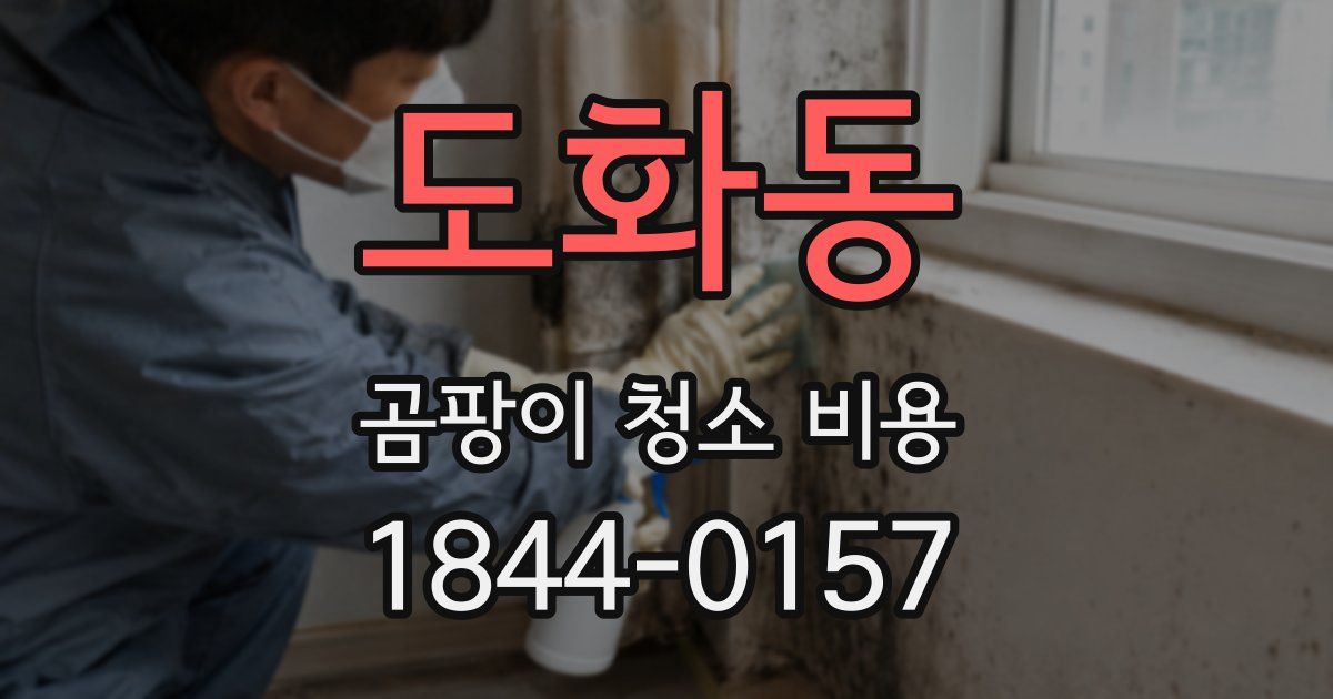 도화동 곰팡이 청소 비용