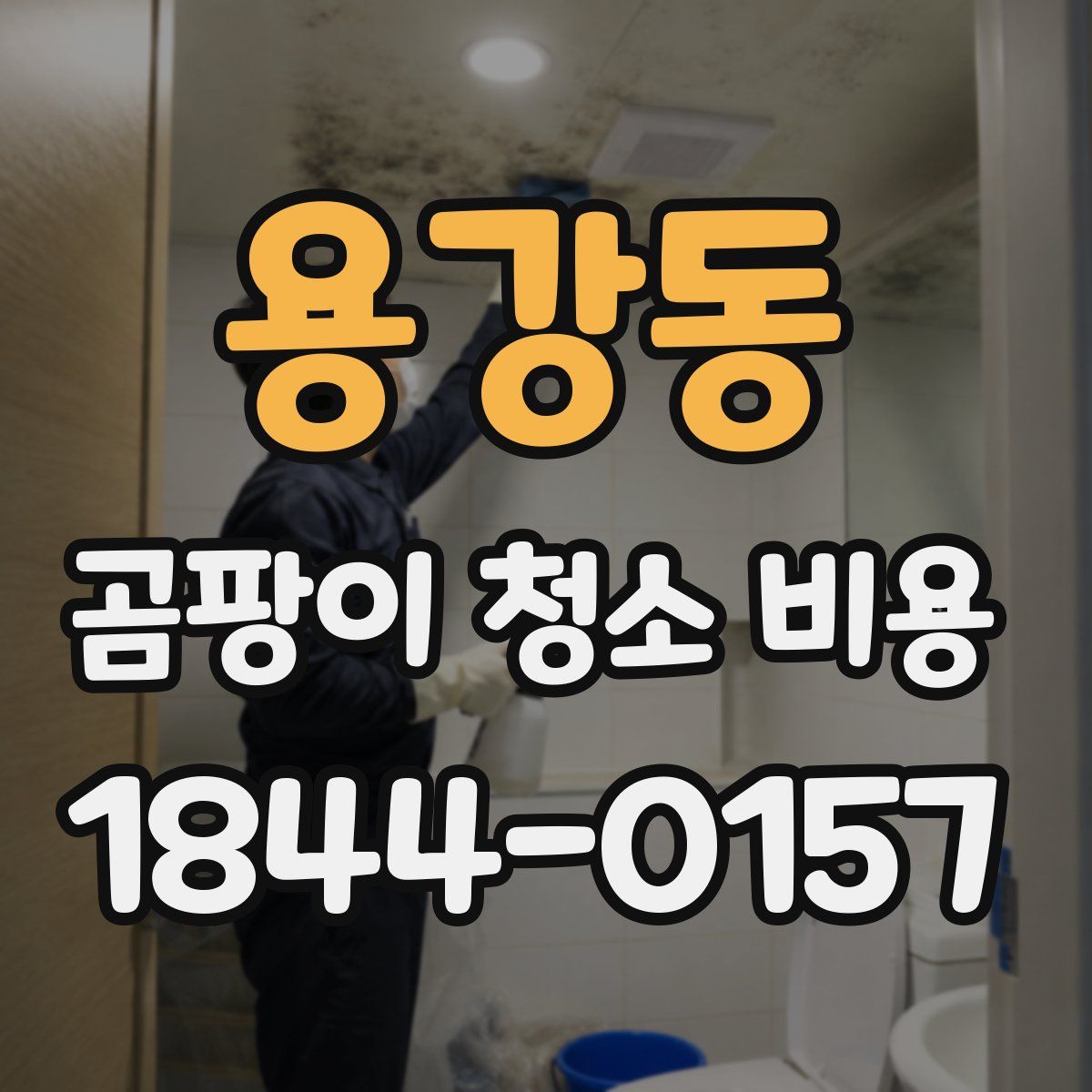 용강동 곰팡이 청소 비용