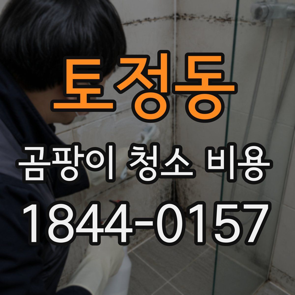 토정동 곰팡이 청소 비용