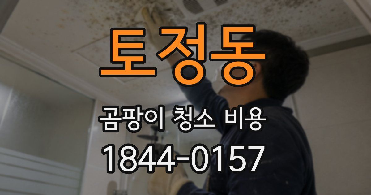토정동 곰팡이 청소 비용
