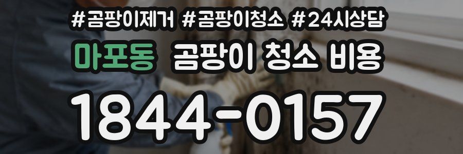 마포동 곰팡이 청소 비용