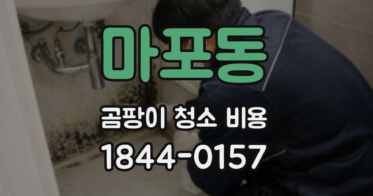 마포동 곰팡이 청소 비용