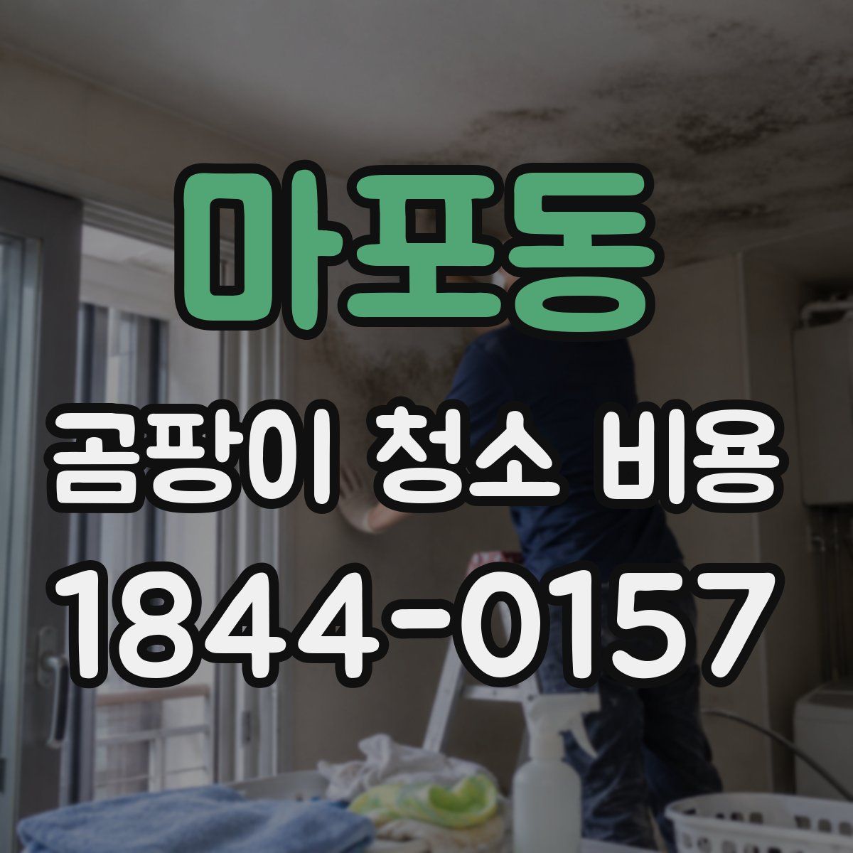 마포동 곰팡이 청소 비용