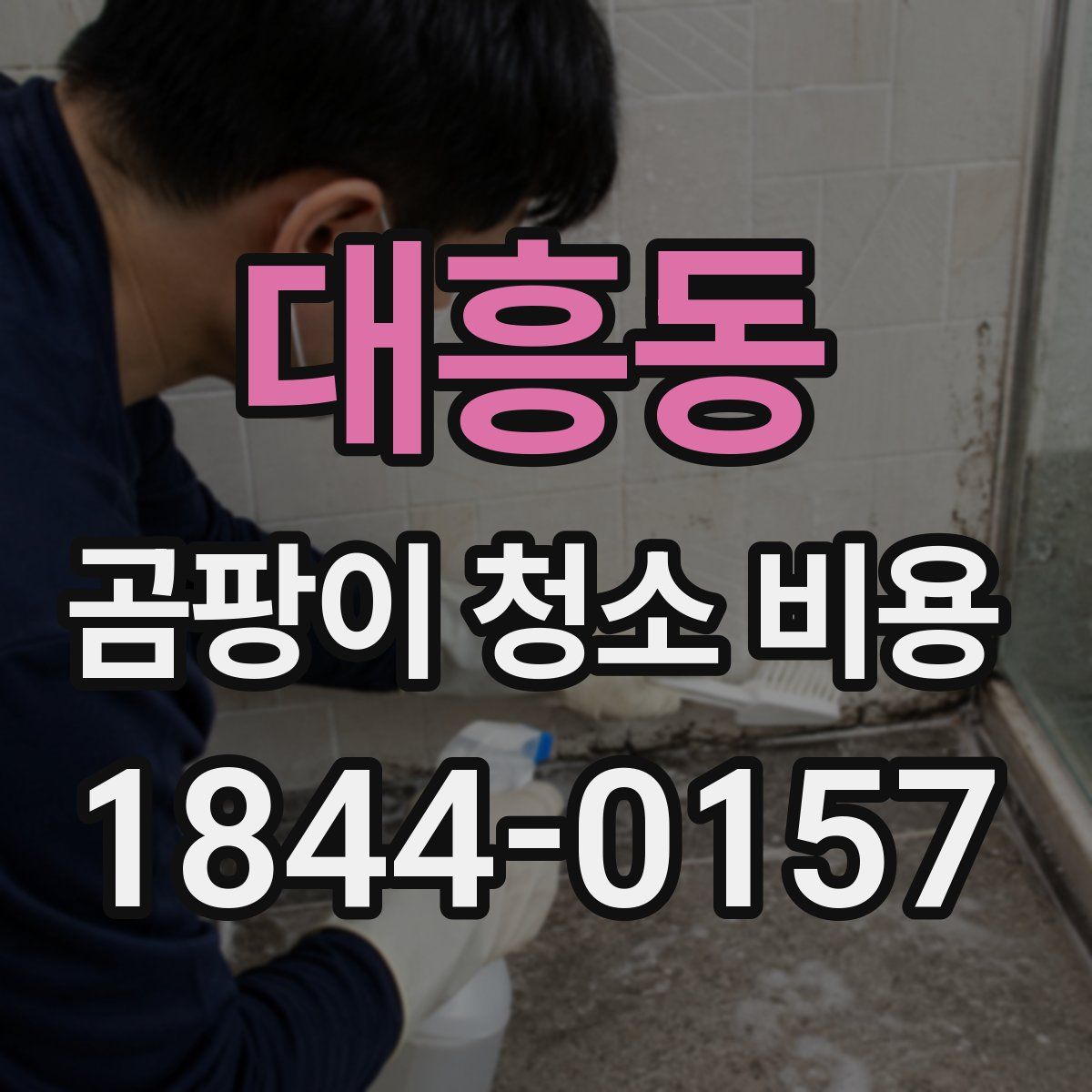 대흥동 곰팡이 청소 비용
