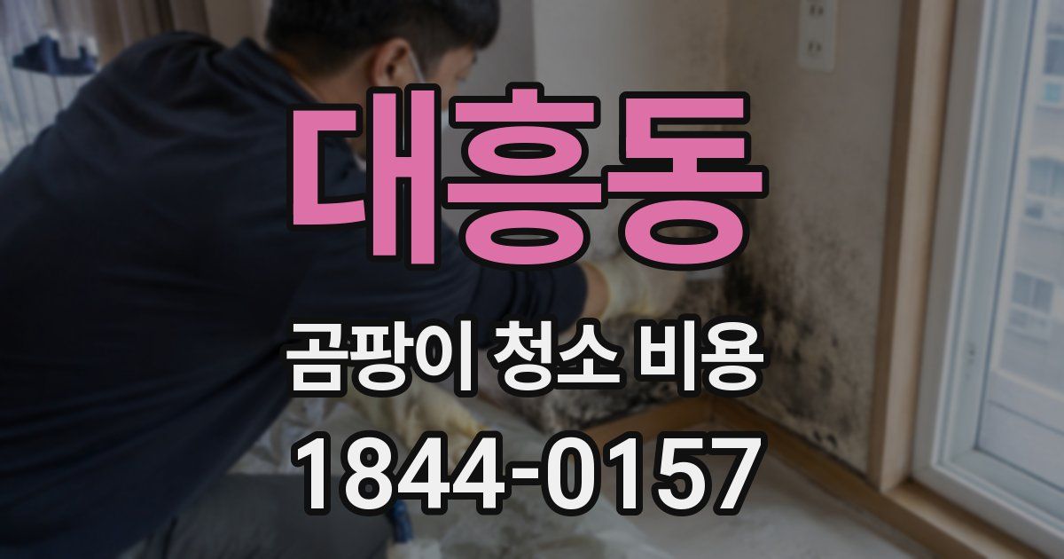 대흥동 곰팡이 청소 비용
