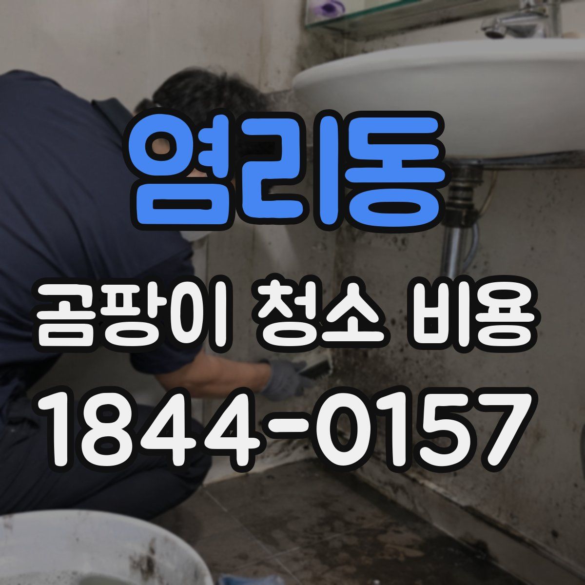 염리동 곰팡이 청소 비용