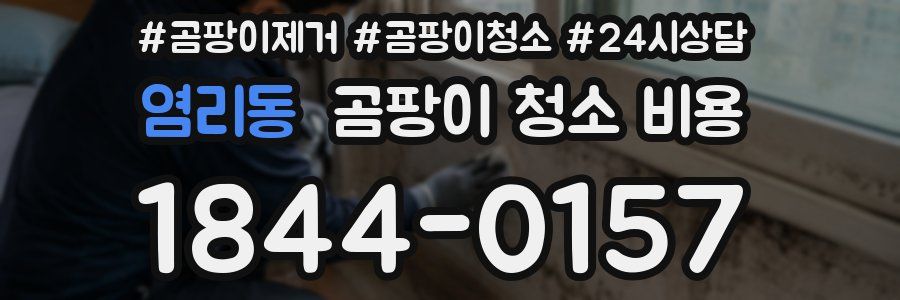 염리동 곰팡이 청소 비용