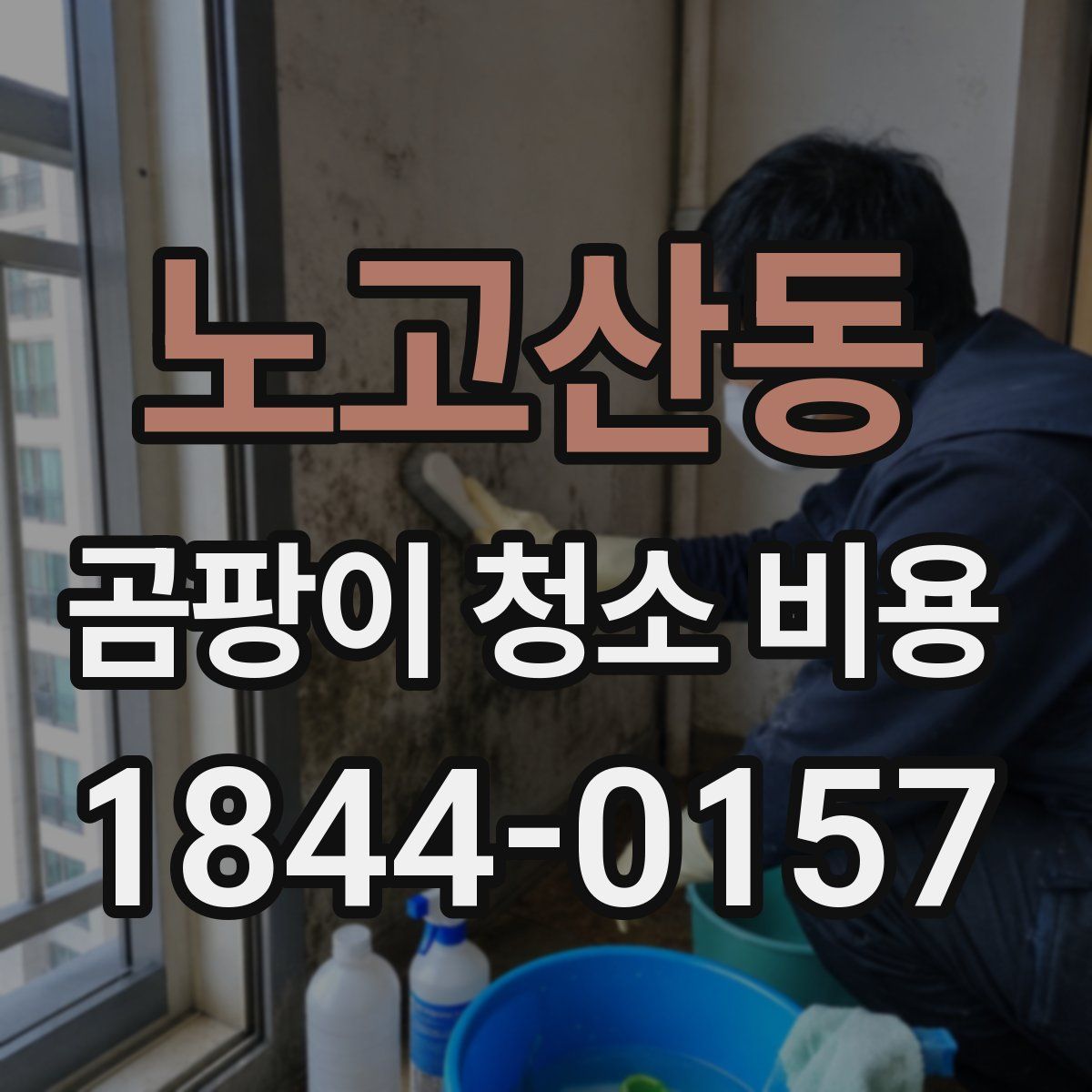 노고산동 곰팡이 청소 비용