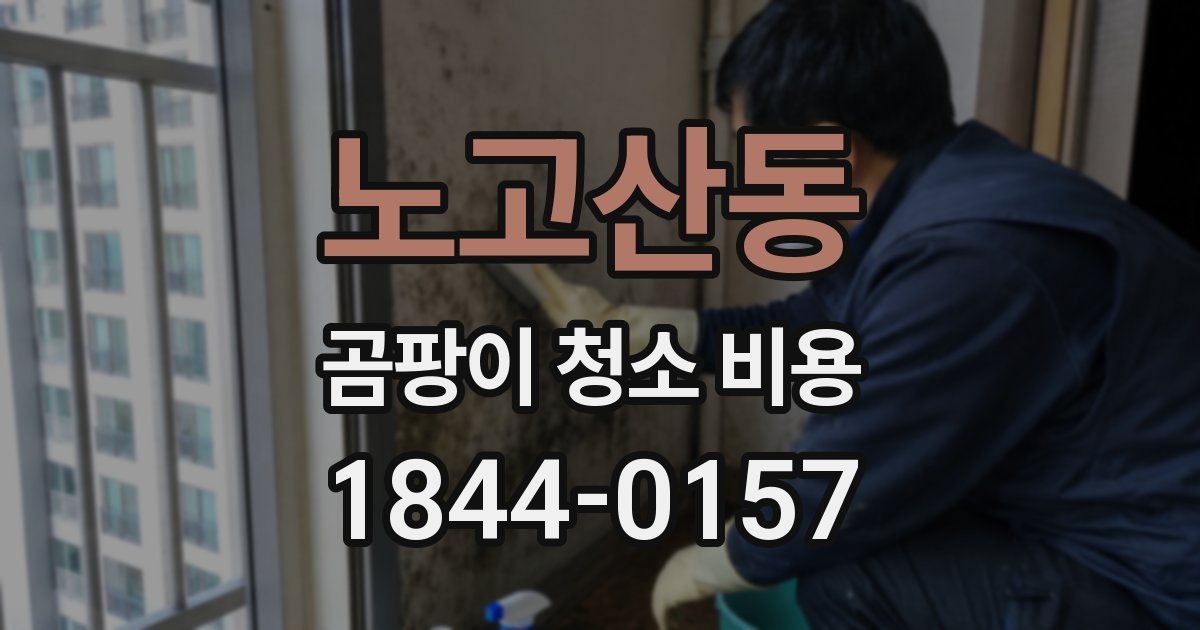 노고산동 곰팡이 청소 비용