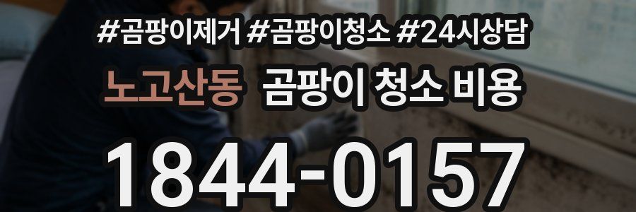 노고산동 곰팡이 청소 비용