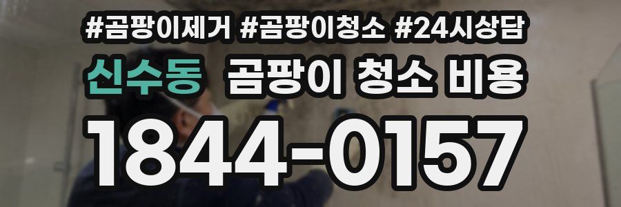 신수동 곰팡이 청소 비용