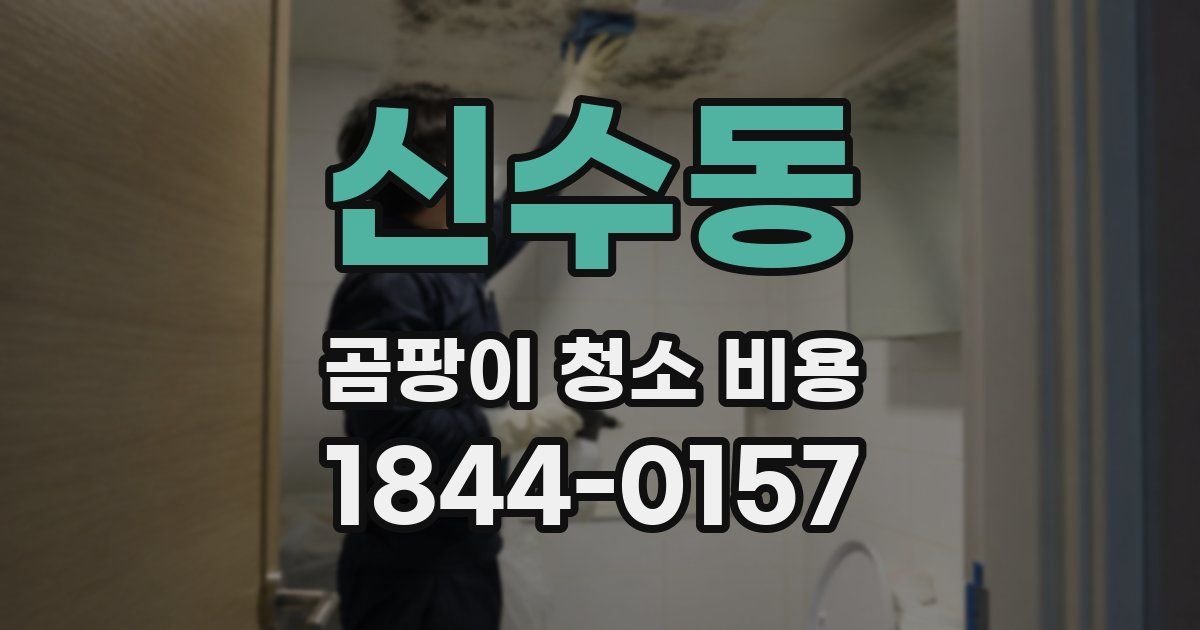 신수동 곰팡이 청소 비용