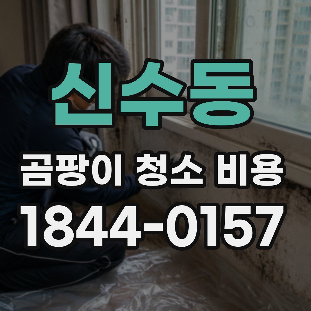 신수동 곰팡이 청소 비용