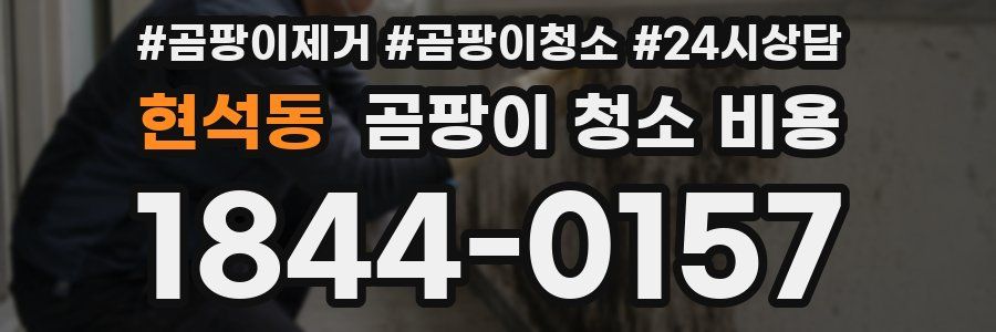 현석동 곰팡이 청소 비용