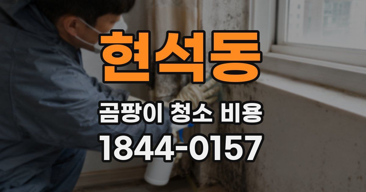 현석동 곰팡이 청소 비용