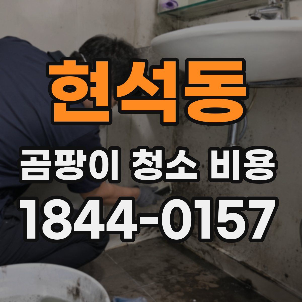 현석동 곰팡이 청소 비용