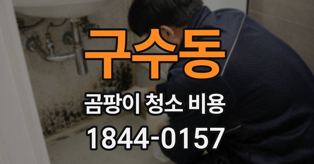 구수동 곰팡이 청소 비용