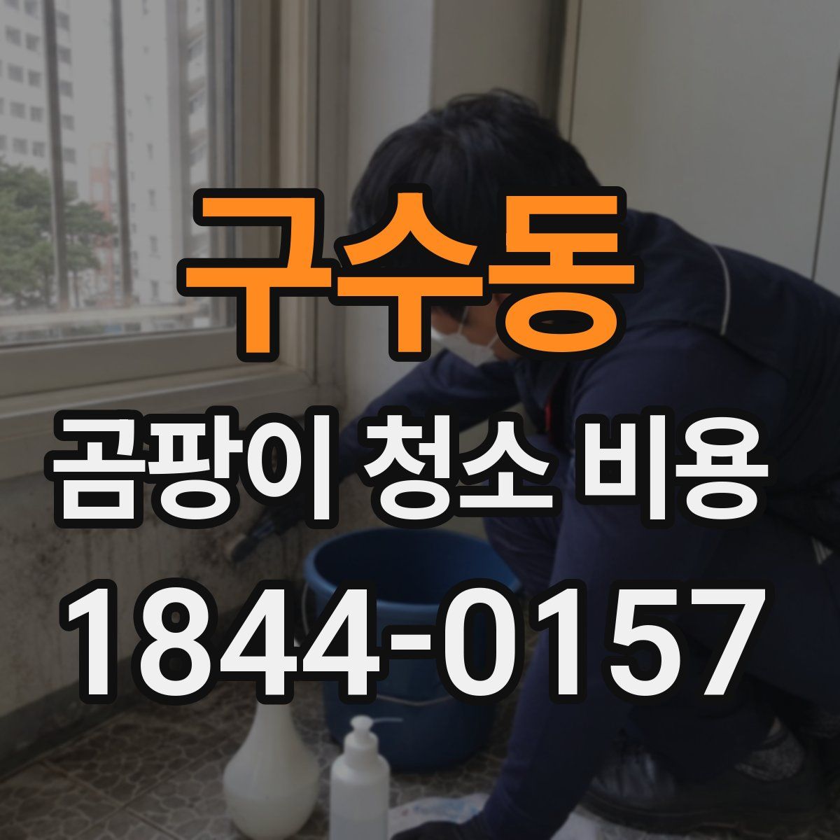 구수동 곰팡이 청소 비용