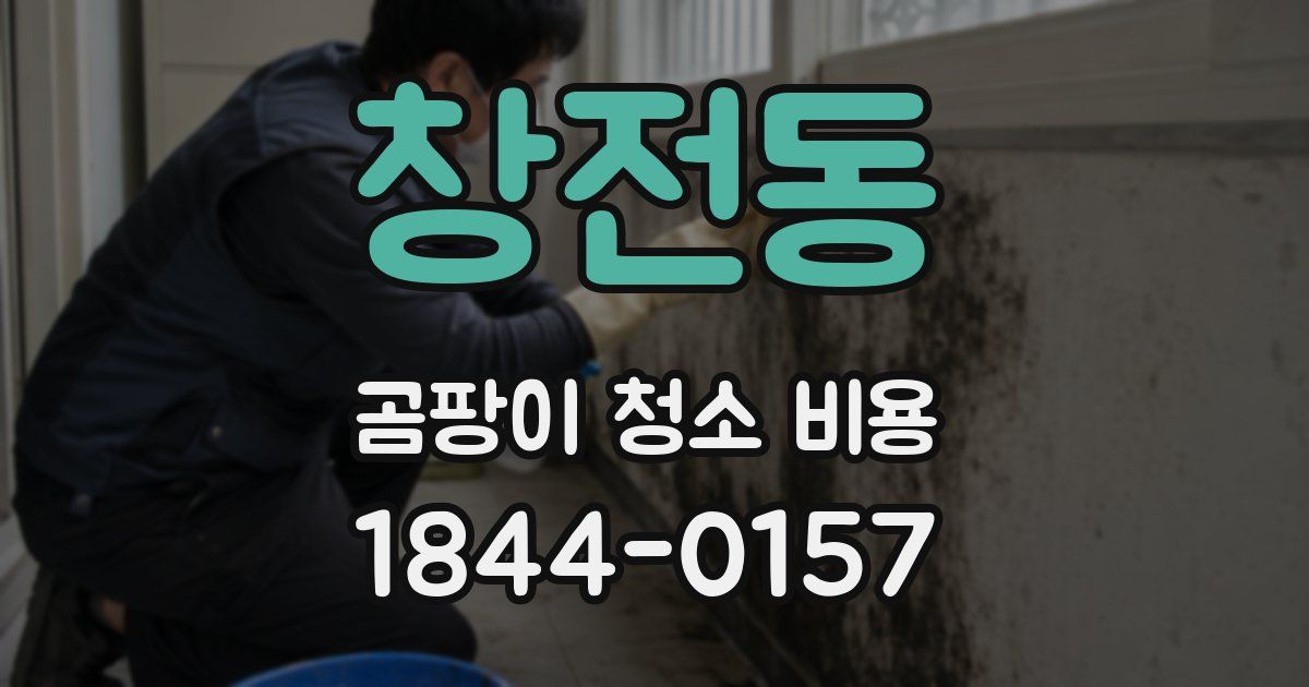창전동 곰팡이 청소 비용