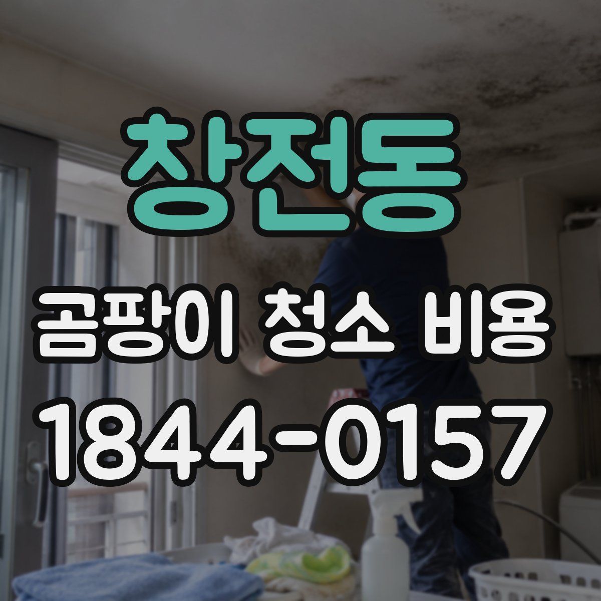 창전동 곰팡이 청소 비용