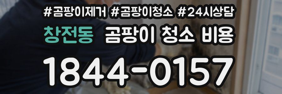 창전동 곰팡이 청소 비용