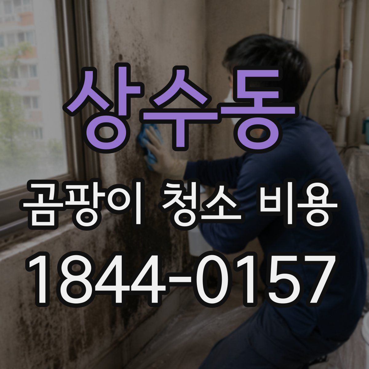 상수동 곰팡이 청소 비용