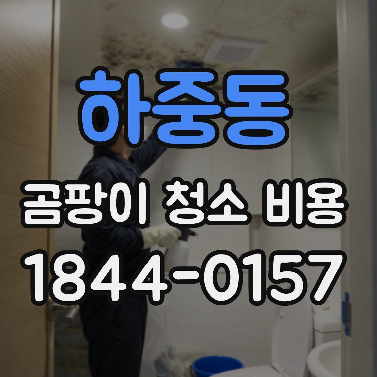 하중동 곰팡이 청소 비용
