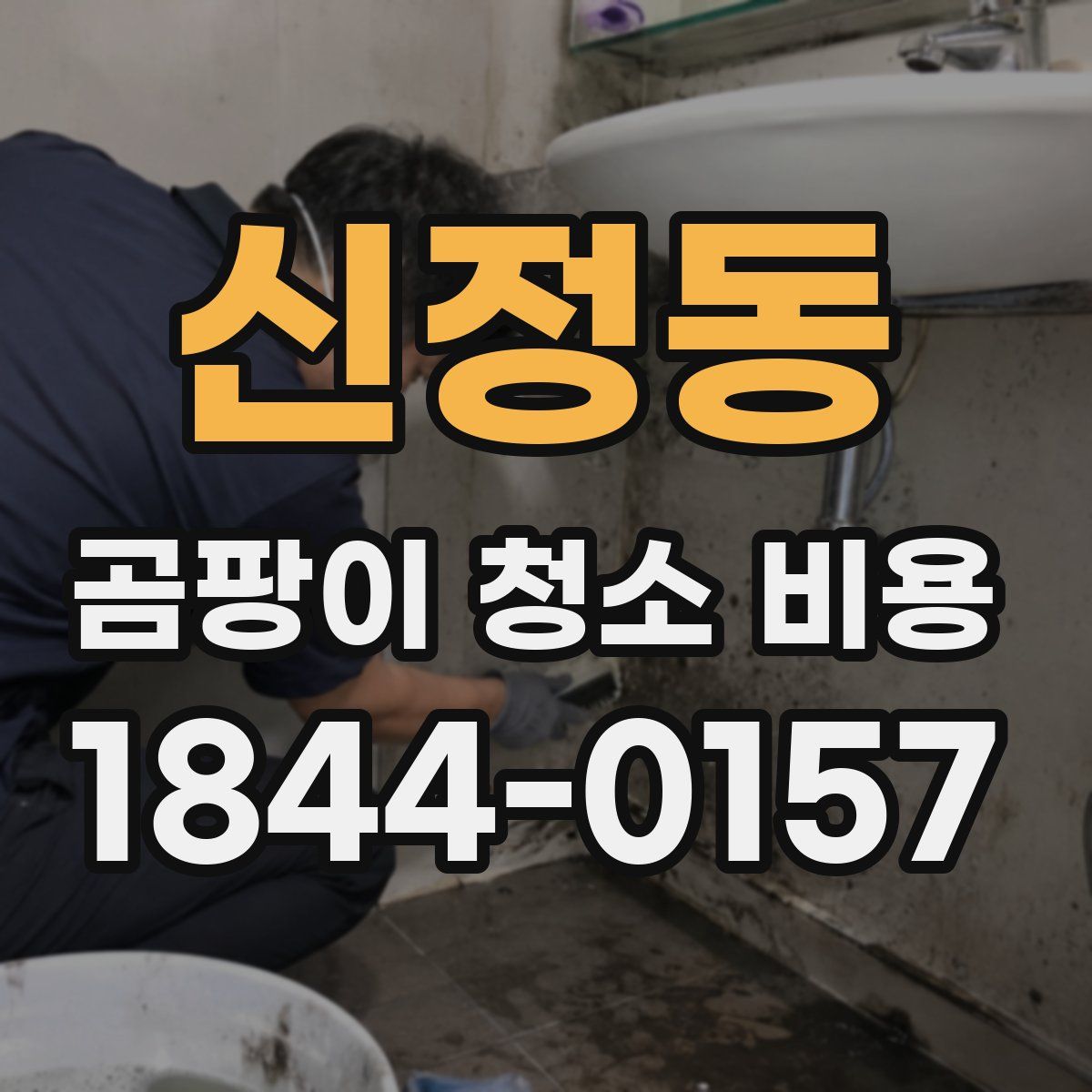 신정동 곰팡이 청소 비용
