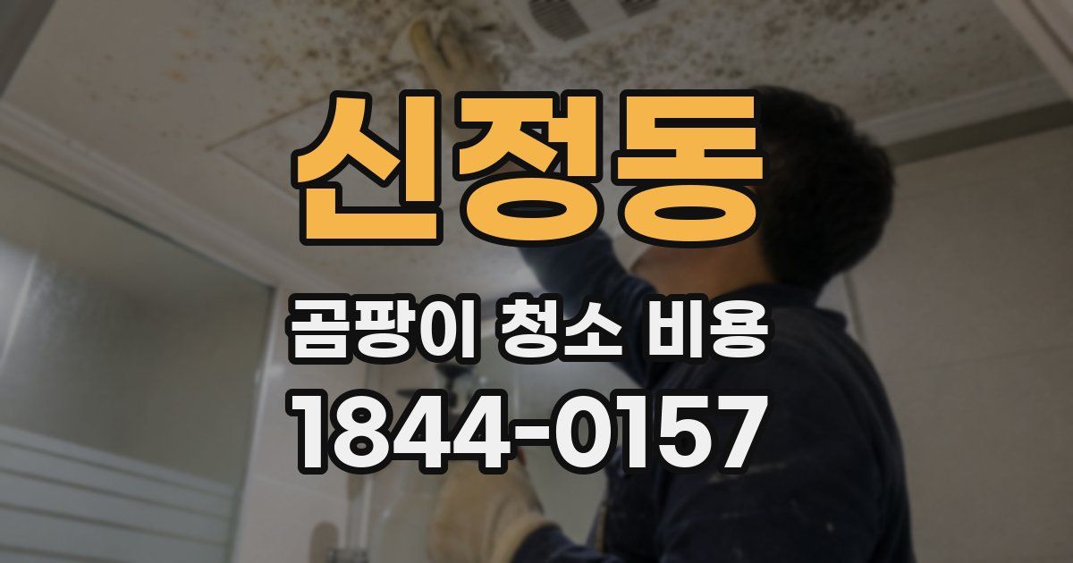 신정동 곰팡이 청소 비용