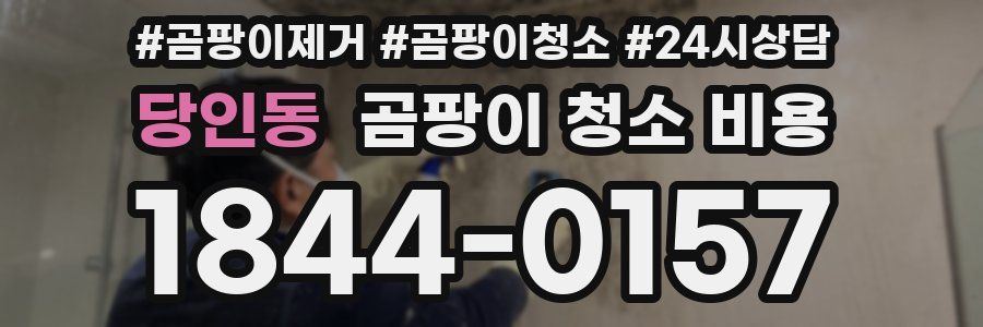당인동 곰팡이 청소 비용