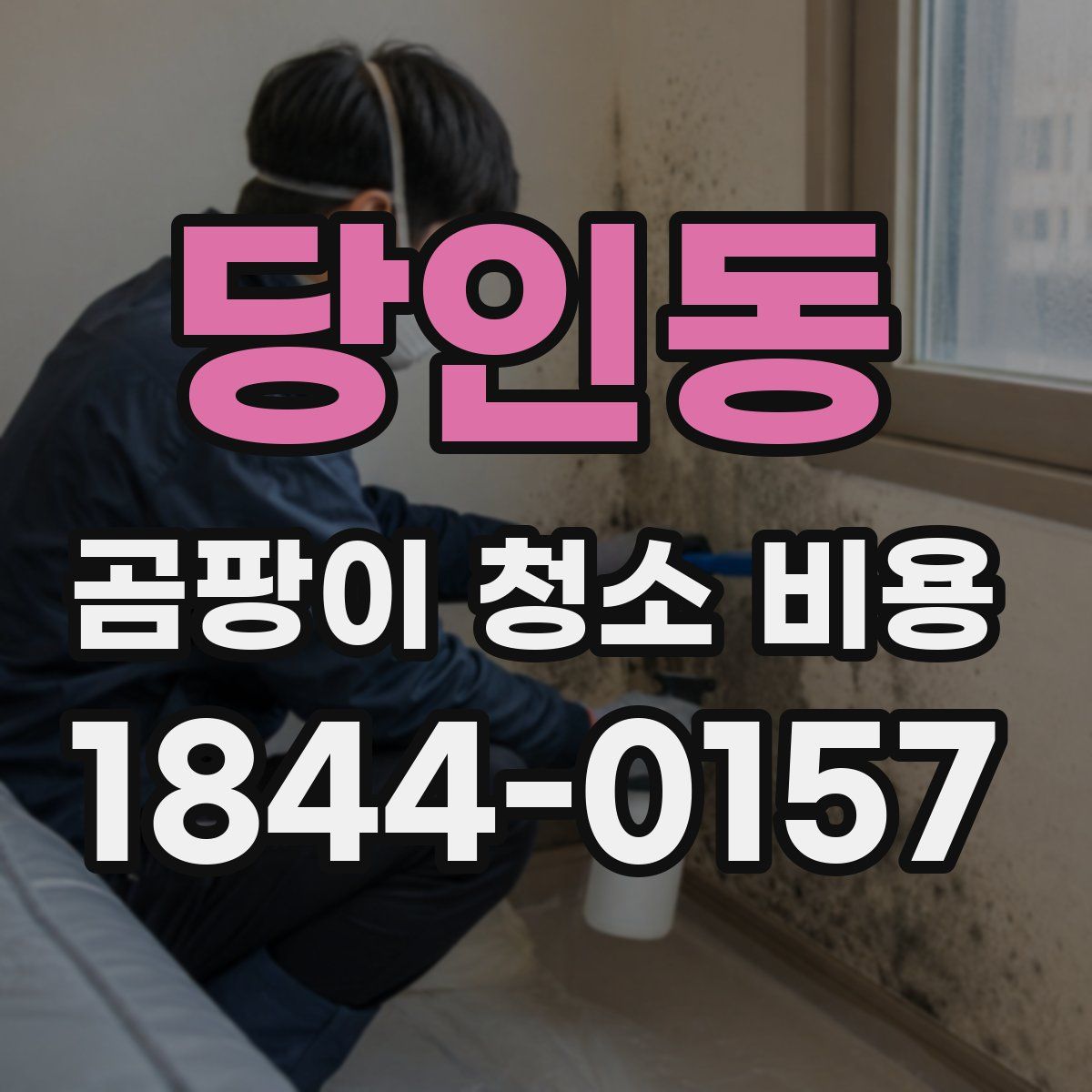 당인동 곰팡이 청소 비용