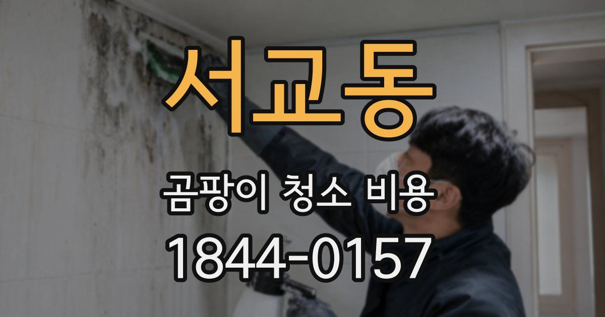 서교동 곰팡이 청소 비용