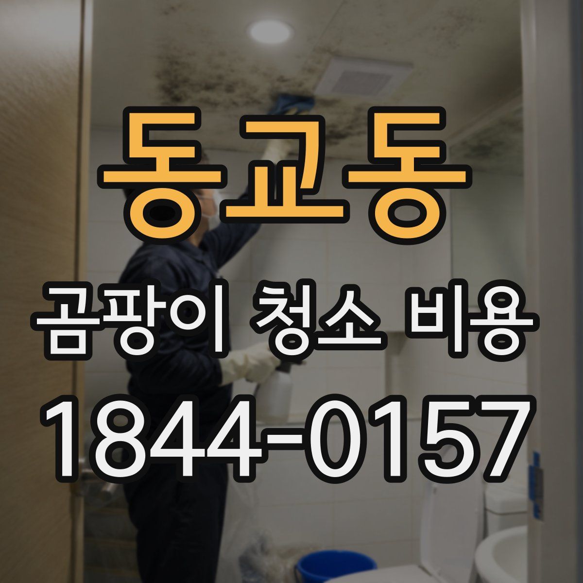 동교동 곰팡이 청소 비용