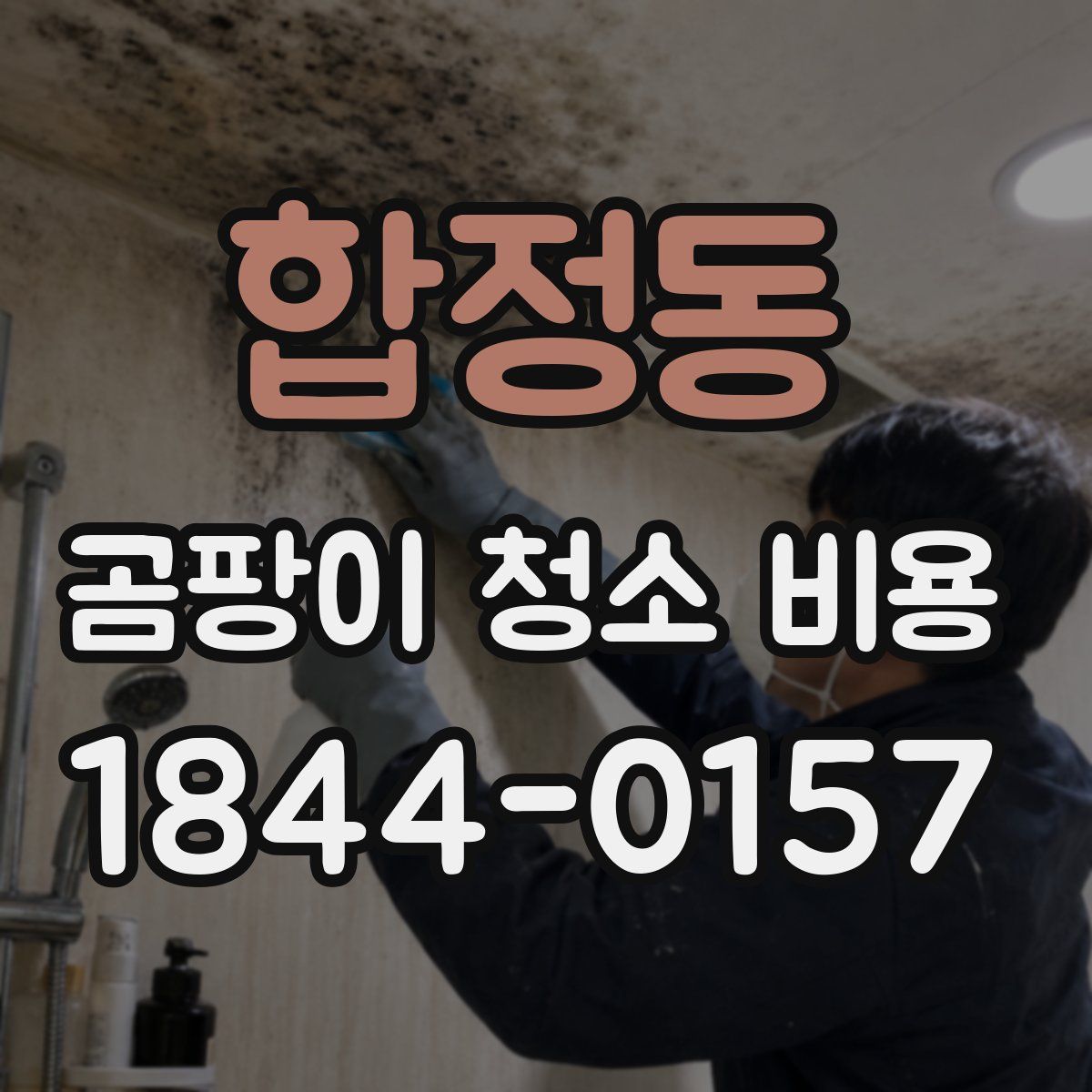 합정동 곰팡이 청소 비용