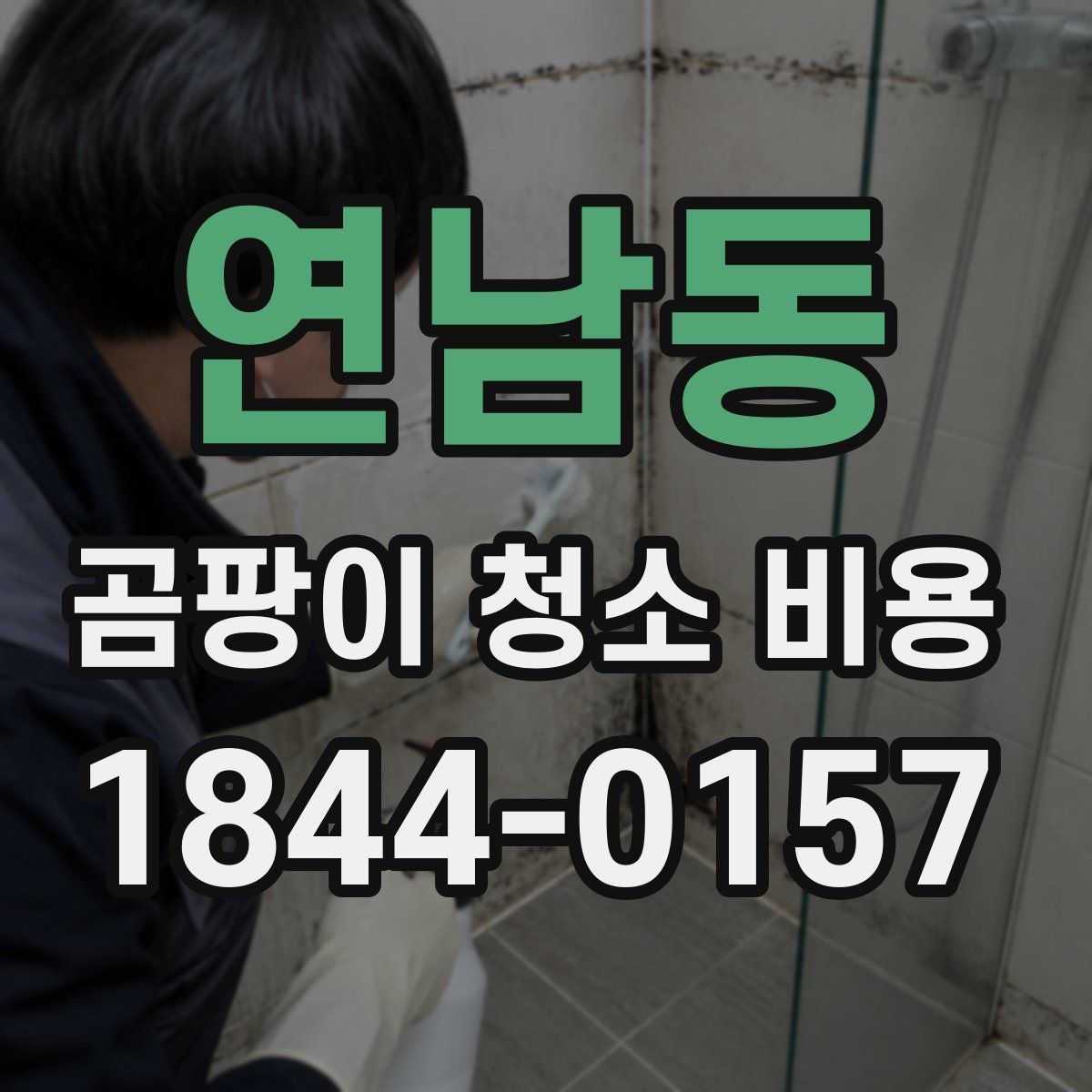 연남동 곰팡이 청소 비용