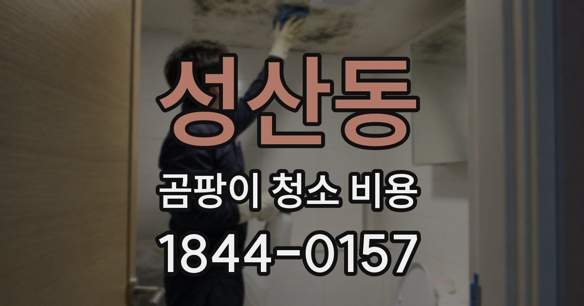 성산동 곰팡이 청소 비용
