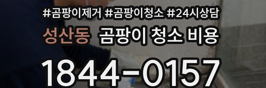 성산동 곰팡이 청소 비용
