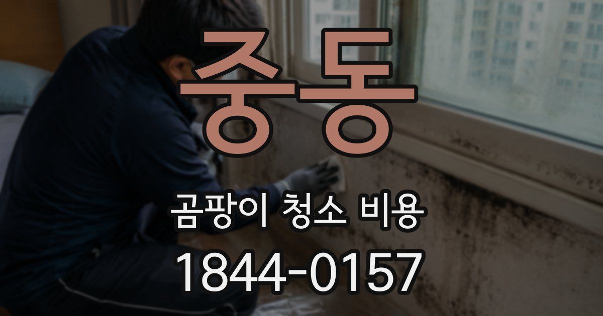 중동 곰팡이 청소 비용