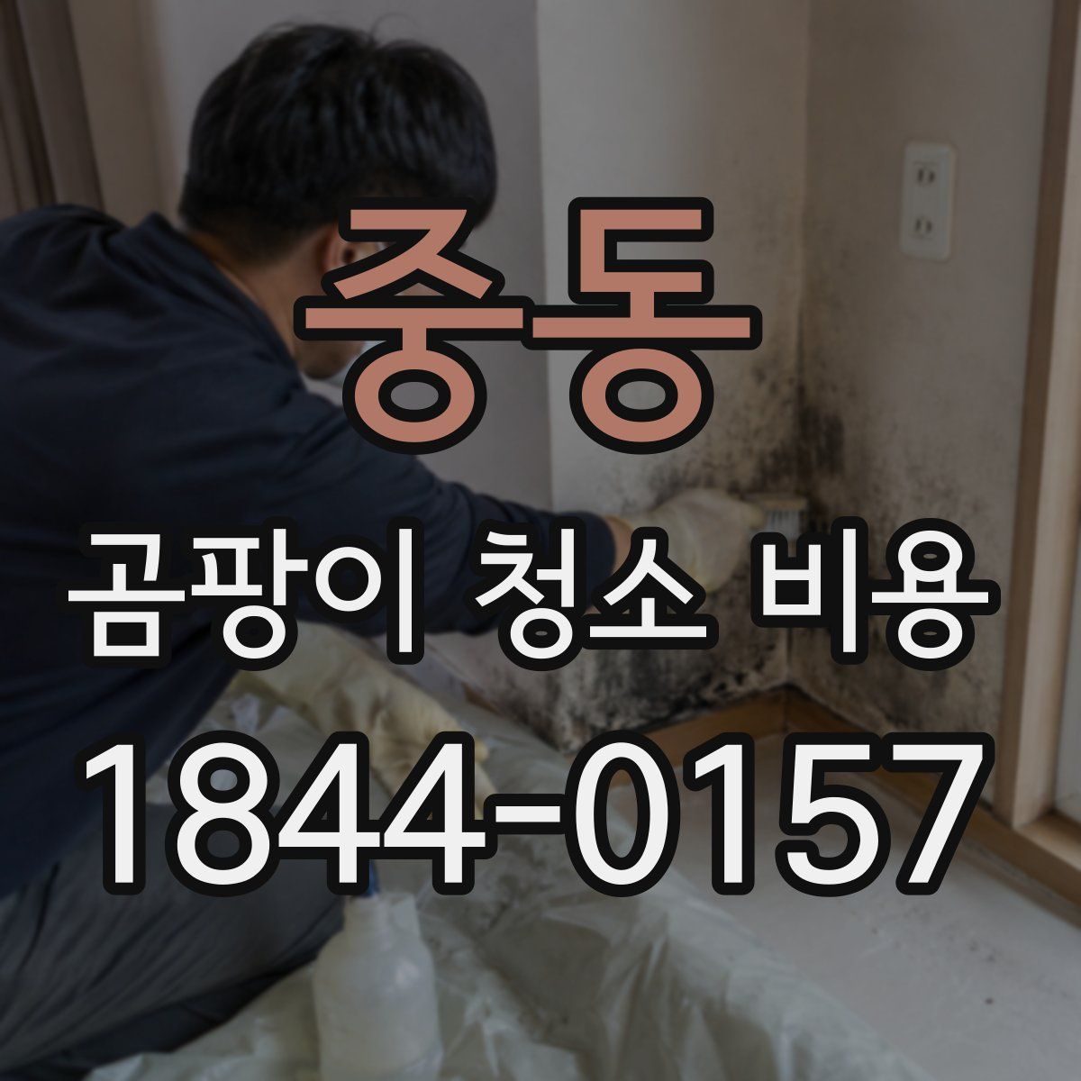 중동 곰팡이 청소 비용