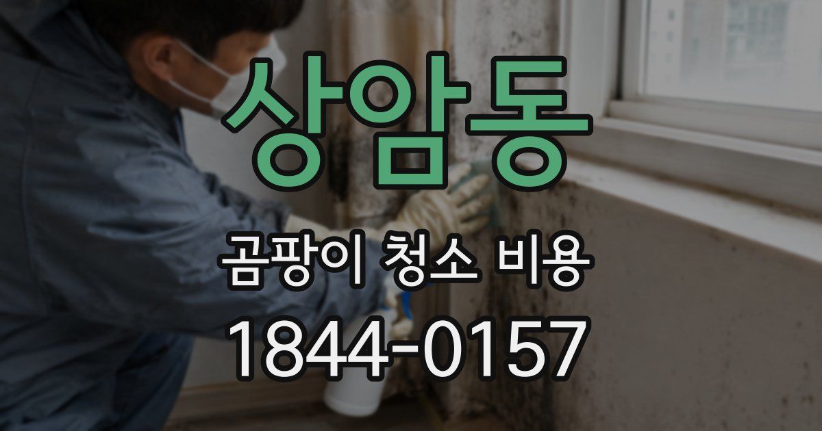 상암동 곰팡이 청소 비용