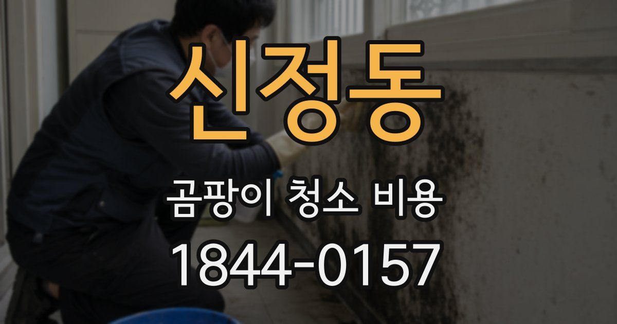 신정동 곰팡이 청소 비용