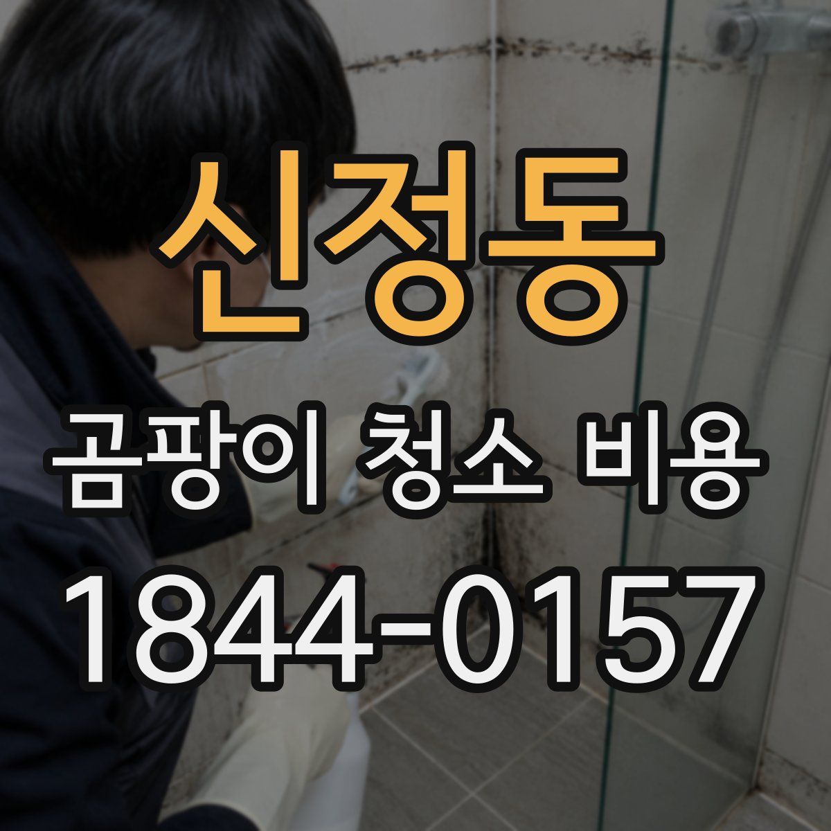 신정동 곰팡이 청소 비용