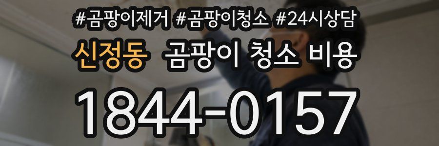 신정동 곰팡이 청소 비용