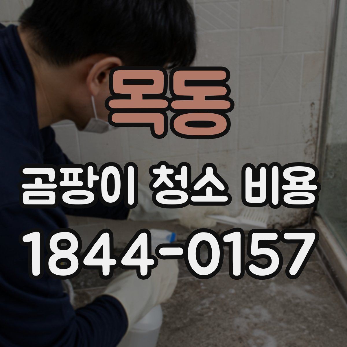 목동 곰팡이 청소 비용 장비 사용 여부에 따라 달라지는 항목
