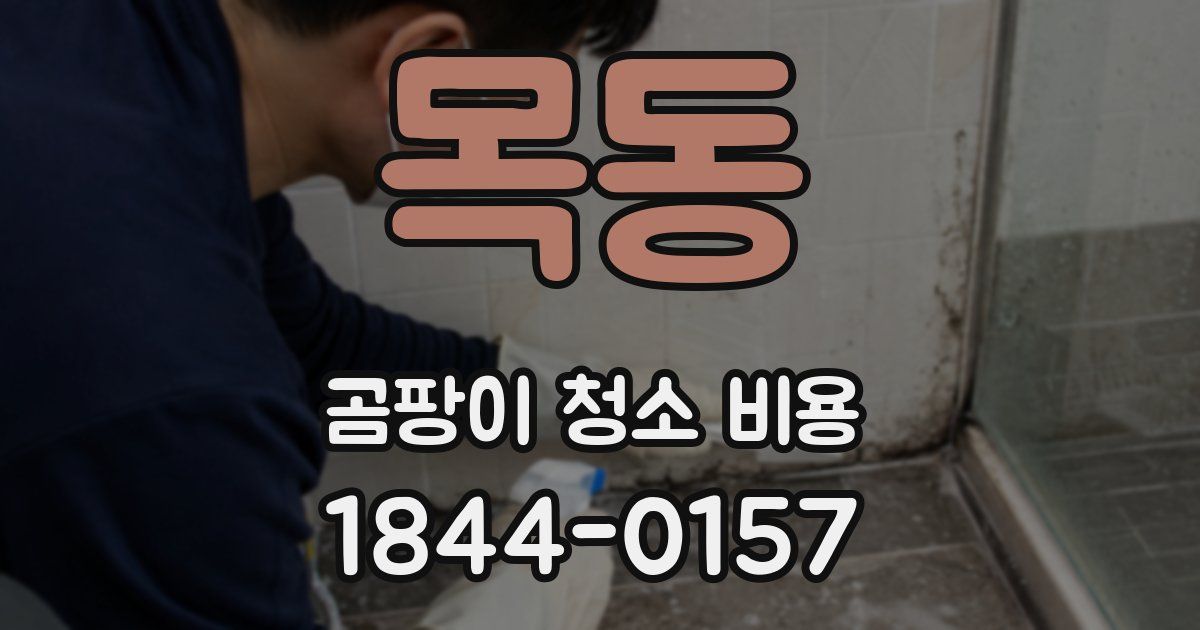 목동 곰팡이 청소 비용