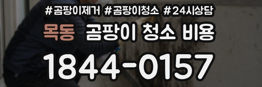 목동 곰팡이 청소 비용