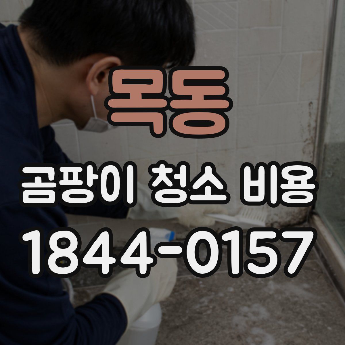 목동 곰팡이 청소 비용