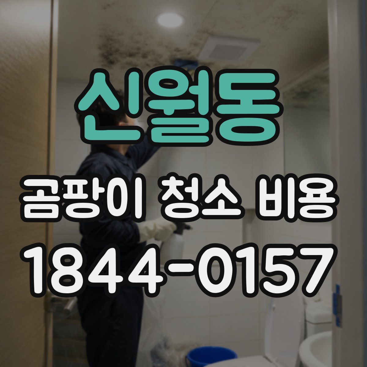 신월동 곰팡이 청소 비용